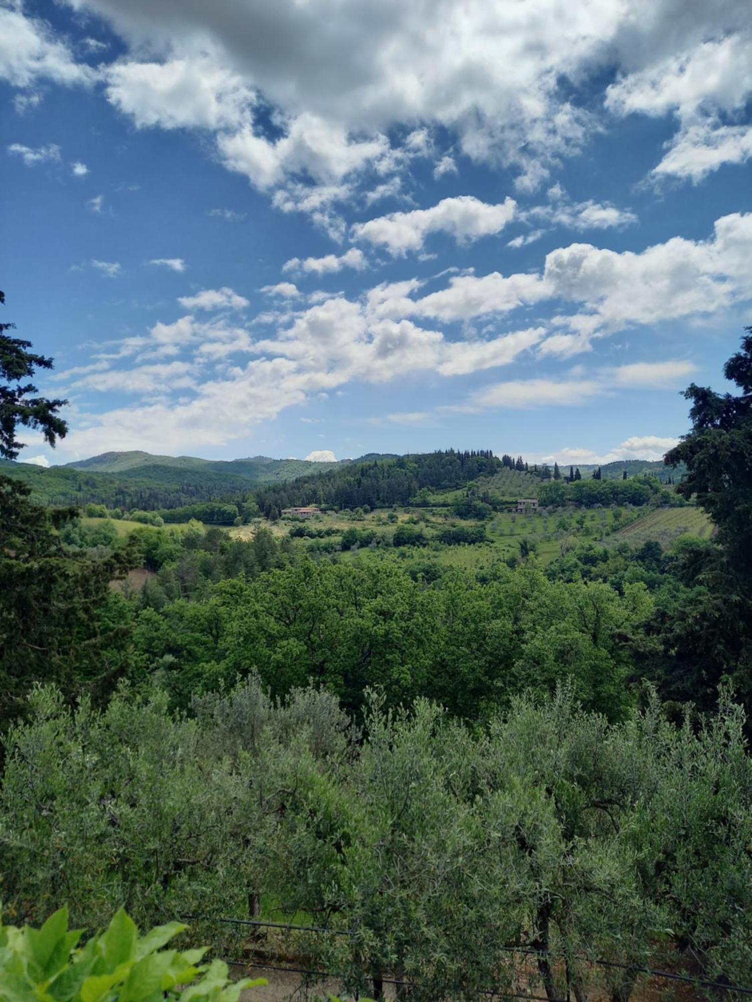Capannelle Wine Resort Gaiole in Chianti Exterior photo